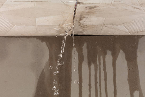 Professional Burst Pipe Cleanup technician working in Delmar, NY